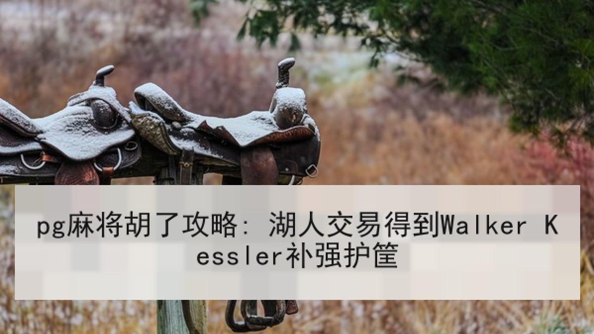 pg麻将胡了攻略: 湖人交易得到Walker Kessler补强护筐