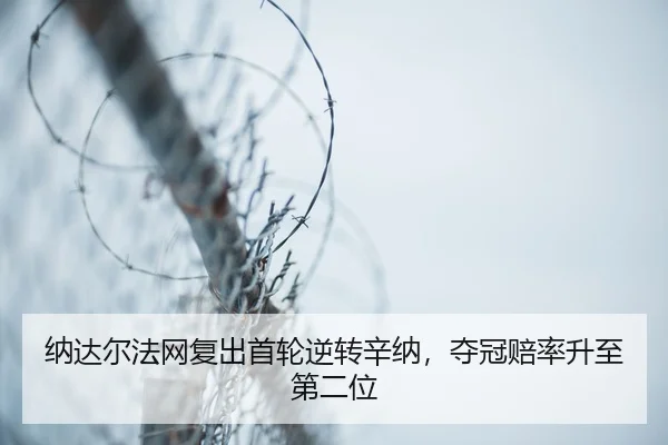 na-da-er-fa-wang-fu-chu-shou-lun-ni-zhuan-xin-na-duo-guan-pei-lv-sheng-zhi-di-er-wei-3-267.jpg
