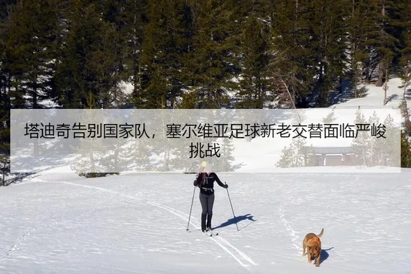 ta-di-qi-gao-bie-guo-jia-dui-sai-er-wei-ya-zu-qiu-xin-lao-jiao-ti-mian-lin-yan-jun-tiao-zhan-2-557.jpg