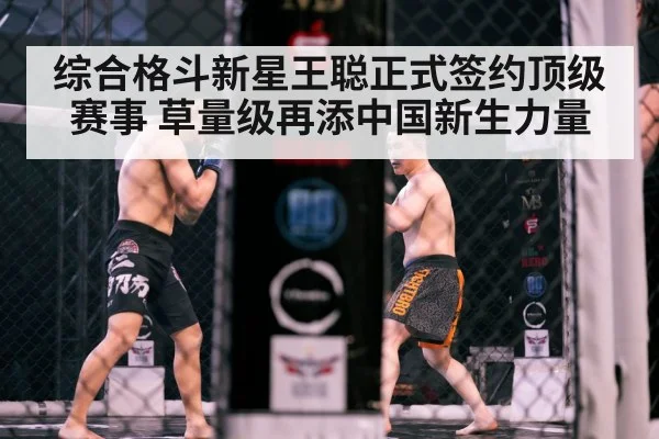 MMA cage fight