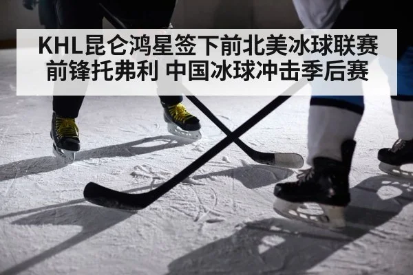KHL昆仑鸿星签下前北美冰球联赛前锋托弗利 中国冰球冲击季后赛